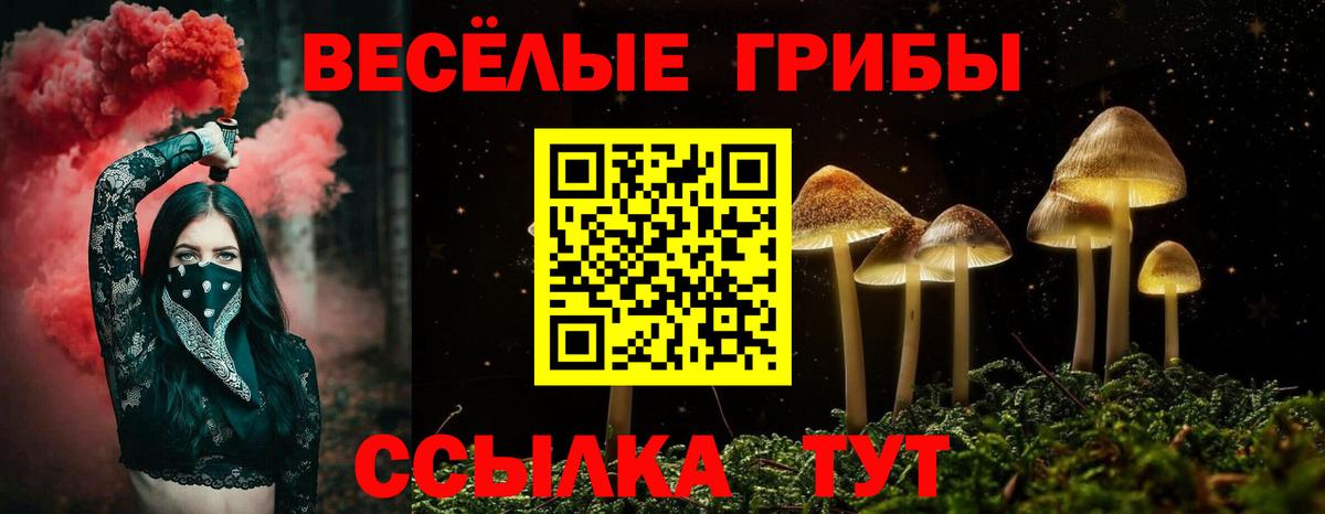 Псилоцибиновые грибы Magic Shrooms  Псилоцибиновые грибы Magic Shrooms  Вход с VPN  Новороссийск 